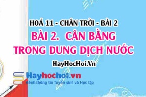 Cân bằng trong dung dịch nước, thuyết Bronsted Lowry về Acid, Base, Khái niệm pH? Hoá 11 chân trời bài 2